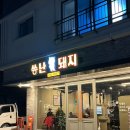 씅난돼지 - 진주시 초전북로61번길 25-8 | 씅난돼지