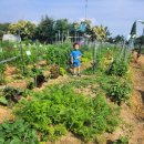 준경농장 이미지