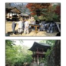 파레스장 이미지
