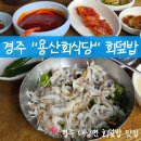 경주회식당 | [경주 용산회식당] 경주 회덮밥 맛집 "용산회식당" 솔직 후기│용산회식당 주말 웨이팅 후기