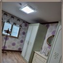 놀부네 촌캉스 이미지