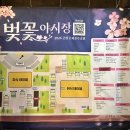 호수공원7 무대섬 | 2026 군산 벚꽃야시장 기간 먹거리 음식 종류 및 가격 후기 은파호수공원 벚꽃축제