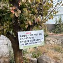 동백국수집 이미지