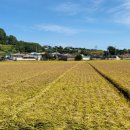 갯마을가든펜션 이미지