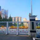 그랑자이 정문 앞 횡단보도 이미지