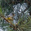 남동인더스파크역 이미지