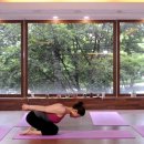 건강요가(목) 이미지