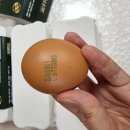 농업회사법인 한국양계(주) 이미지