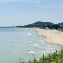 모리커피포항화진점