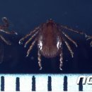 기동반-61 이미지