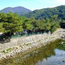 솔바람오토캠핑장 이미지