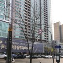 (공연) 전원경의 미술관 옆 음악당 - 1월 | 12월전시회 서울전시 예술의전당 불멸의 화가 반 고흐 렉서스
