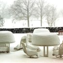 소토초등학교 이미지