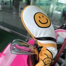 그린유니언 유틸리티커버 골프용품 사용후기 사이즈 딱! 디자인 굿