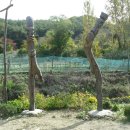 근화농장 이미지