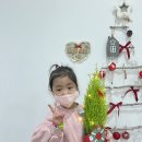 율마꾸미기🎄 이미지