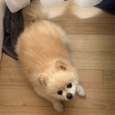 (주)꿈의엔진 | 5월 셋째주 일상 먹고 웃고 산책하고 사랑하라!