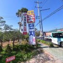 자양꽃직매장 이미지