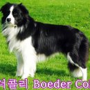 만능스포츠 네이버블로그