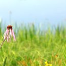 호숫가의 풍경 이미지