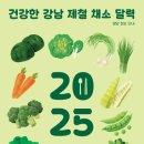 강남채소