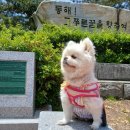 성곡마을쉼터