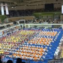 공명유도주짓수 이미지