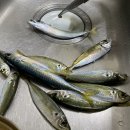 진성레져 이미지