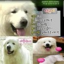 아산배방와이몰 이미지