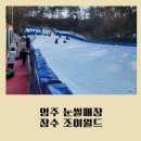 영주 아이랑 가볼만한 곳 눈썰매장 장수조이월드