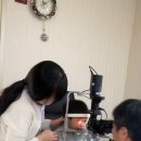 자연나라어린이집 이미지