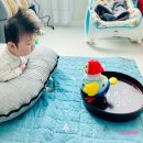 쁘미네일 | 국민육아템 꼬꼬맘이 드디어 쁘미네에도~ 꼬꼬이모님