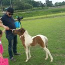 함열 농장 이미지