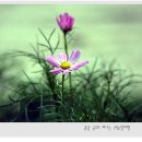 5도바이크 이미지