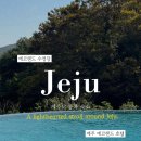 여행가자 - 수성구 들안로 181 | 제주 에코랜드 호텔 슈페리어킹 & 인피니티 수영장 후기 / 가자! 아자! 제주도 여행 2