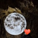 소리네팥죽 | 파우치인 줄 알았던 팥죽의 정체…😂 동굴피아 소소한 후기