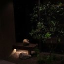 명란황태찜 | 인천 송도 한우 오마카세 맛집 묘우 후기(기념일에 딱 좋은 프리미엄 코스)