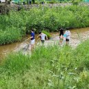 연꽃당구장 이미지