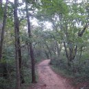 광산구-154 이미지