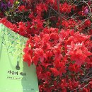 몸사랑한약국 이미지