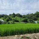 서정2리마을회관 이미지