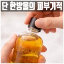 갈라지는 속건조 고민 세포랩 바이오제닉 에센스 90% 더블 세트로 4주 만에 피부 광명 찾은 후기
