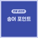 승안낚시터 | 전국 송어낚시 낚시터 후기 (한일낚시터, 장광낚시터, 덕봉낚시터, 승안낚시터)