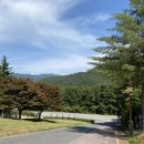 구상나무 화장실 이미지