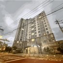 답십리21 네이버블로그