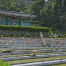 남해나들이 마음쉼터 네이버블로그
