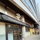 트리옹프닥터의원 이미지