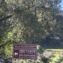 주상절리 공중화장실 | 연천 스톤브룩 캠핑장 | 유네스코 등재된 주상절리 뷰 캠핑 명소 방문 솔직후기✨