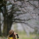 향기4로+향기5로 이미지