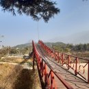 바위섬식당 이미지